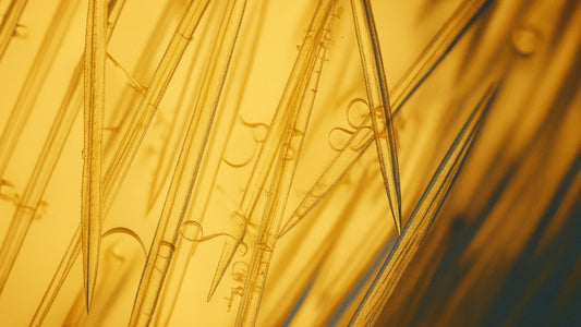 Microspear®: patentovaná technologie, která doručuje nobelovské složky přímo do hloubky pokožky