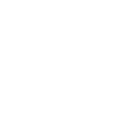 profesionální poradenství